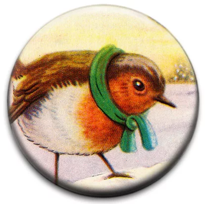 Robin In The Snow