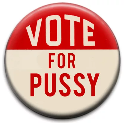 Vote For Pussy
