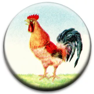 Proud Cock