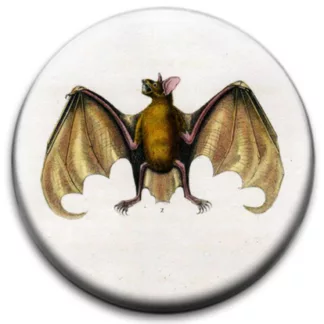 Bat