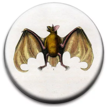 Bat