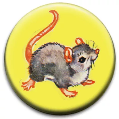 Cute Little Mouse