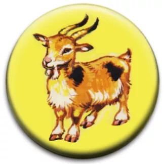 Cute Goat