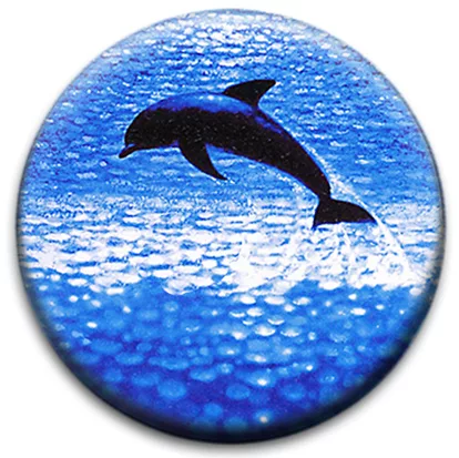 Dolphin
