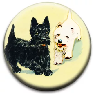 Black And White Dogs