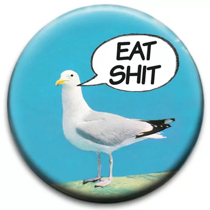 Seagull Says Eat Shit