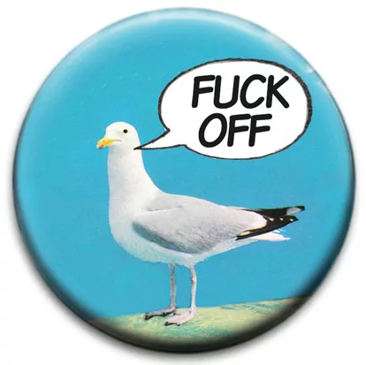 Seagull Says Fuck Off
